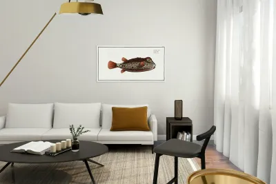 Nose-Trunk Ostracion Nasus Reproduction