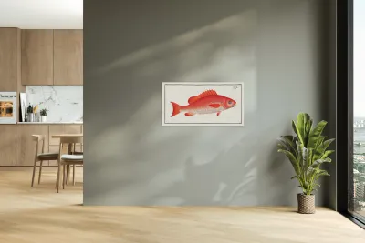 Bodianus Aya Reproduction