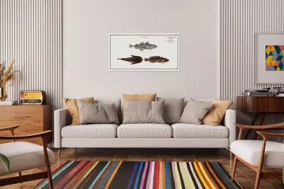 1. Poor Gadus Minutus 2. 3. Toald-Fish Gadus Tau Reproduction