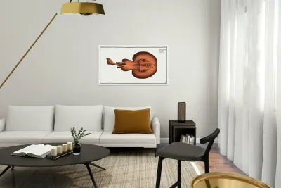 Cramp-Fish Raja Torpedo Reproduction