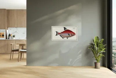 Rhomboidal Salmon Salmo rhombeus Reproduction