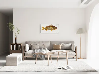 Grunt Anthias formosus Reproduction