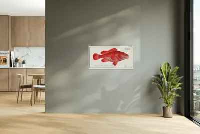 Hind Perca Guttata Reproduction