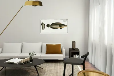 Punctulated Snake-head Ophicephalus punctatus Reproduction