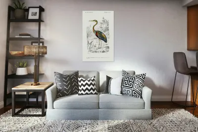 Purple heron Ardea purpurea Reproduction