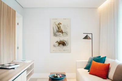 Opossum Didelphis and Opossum Didelphis Reproduction