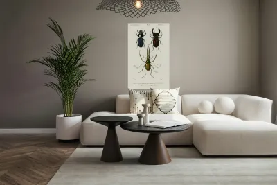 Different types of beetles Reproduction