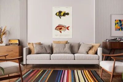 Different types of fishes Reproduction