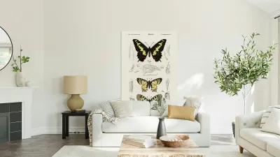 Different types of beetles Reproduction