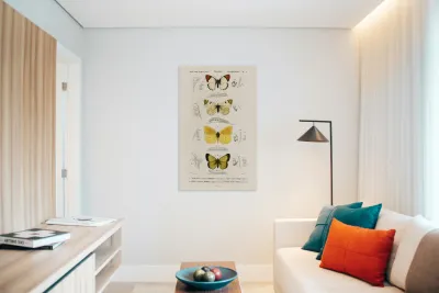 Different types of mollusks Reproduction