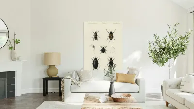 Different types of beetles Reproduction