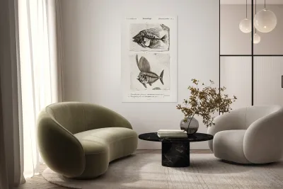 Ray-finned fish Acanthonemus and Semiophorus Reproduction