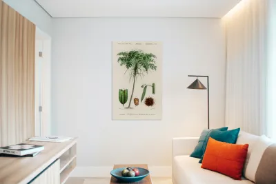 Trichipteris excelsa Reproduction