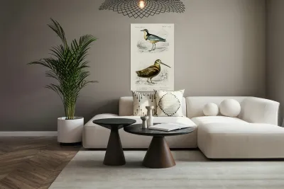 Different types of birds Reproduction