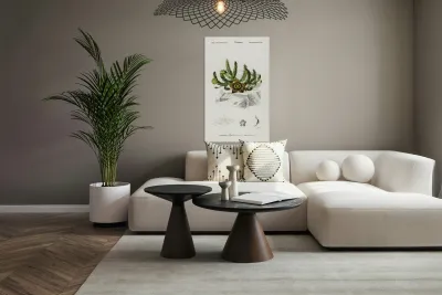 Carrion-flower Stapelia variegata Reproduction