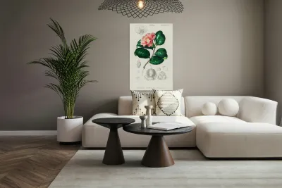 Eastern dobsonfly Corydalus cornutus Reproduction