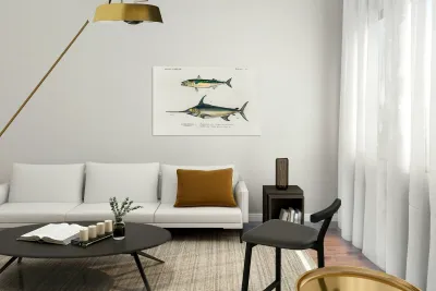 Different types of beetles Reproduction