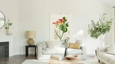 Anna speciosa Reproduction