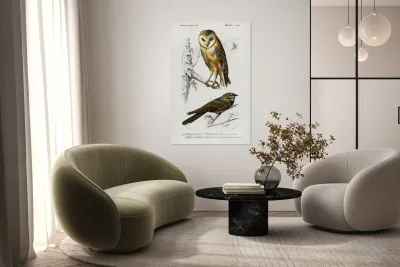 Different types of birds Reproduction