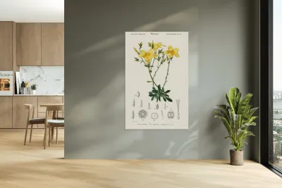 Yellow flax Linum glandulosum Reproduction