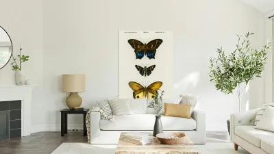 Different types of butterfly Reproduction