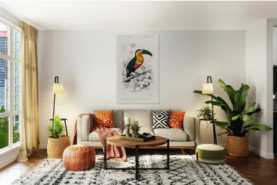 Toucan bird Reproduction