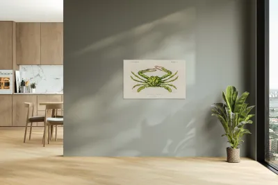 Portunus Lupa Pelagica Reproduction