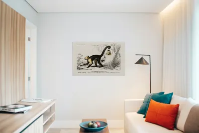 White-headed capuchin Cebus Hypoleucus Reproduction