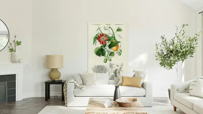 Green-tailed Jacamarfemale Reproduction