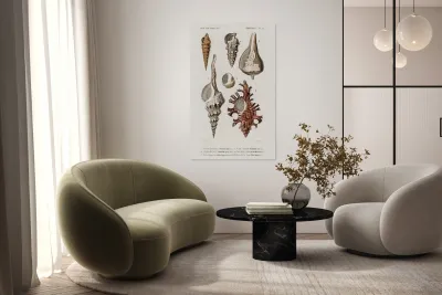 Different types of mollusks Reproduction