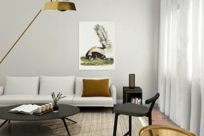 Large-tailed Skunk Mephitis macroura  Reproduction