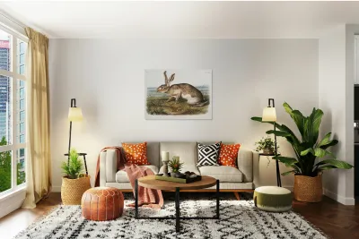 Texian Hare Lepus Texianus  Reproduction