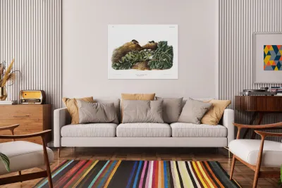 Least Shrew Sorex parvus  Reproduction