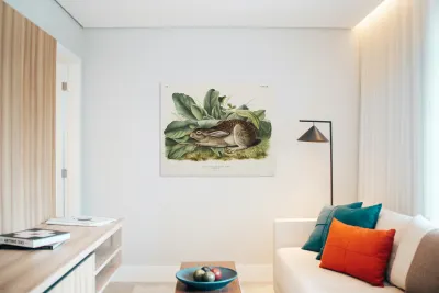 Black-tailed Hare Lepus negricaudatus  Reproduction