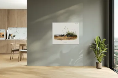 Shrew Mole Scallops Brewerii  Reproduction