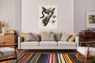 Orange-bellied Squirrel Sciurus sub-auratus  Reproduction