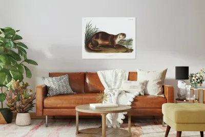 Canada Otter Lutra Canadensis  Reproduction