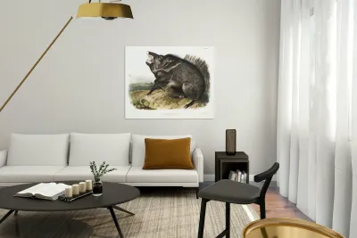 Collared Peccary Dycoteles torquatus  Reproduction