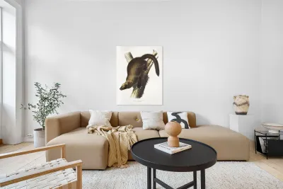 Marten Mustela Canadensis  Reproduction