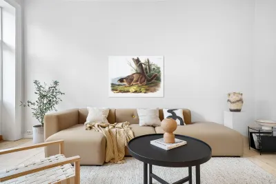 Cat Squirrel Sciurus cinereus  Reproduction