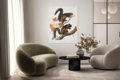 Long-haired Squirrel Sciurus longipilis  Reproduction