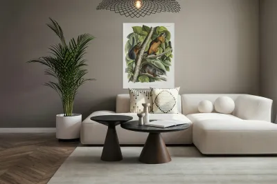 Red Texan Wolf Canis lupus  Reproduction