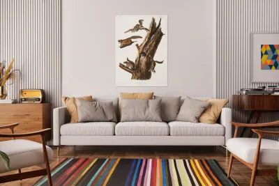 Flying Squirrel Pteromys volucella  Reproduction