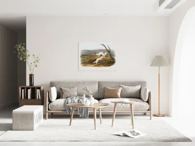 Little Nimble Weasel Putorius agilis  Reproduction