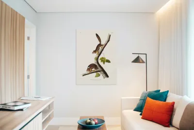 Chipping Squirrel Tamias Lysterii  Reproduction