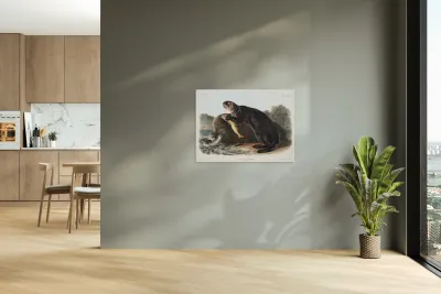 Sea Otter Enhydra marina  Reproduction