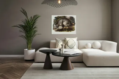 Canada Lynx Lynx Canadensis  Reproduction