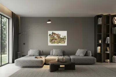 Grey Rabbit Lepus Sylvaticus  Reproduction