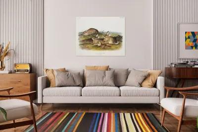 Warm Wood Hare Lepus artemesia  Reproduction