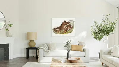 Northern Hare Lepus Americanus  Reproduction